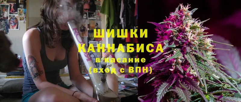 Канабис SATIVA & INDICA  shop клад  Орехово-Зуево  цена  